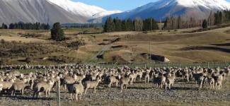 Aotearoa/New Zealand landscape