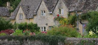 Cottage with greenery