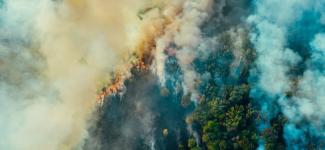 Catalyst Program Callout Image