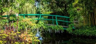 Photo of Monet's water garden, Giverny