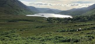 Photo of the Irish country side