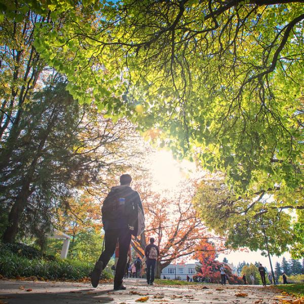Image of student walking with foliage in the background