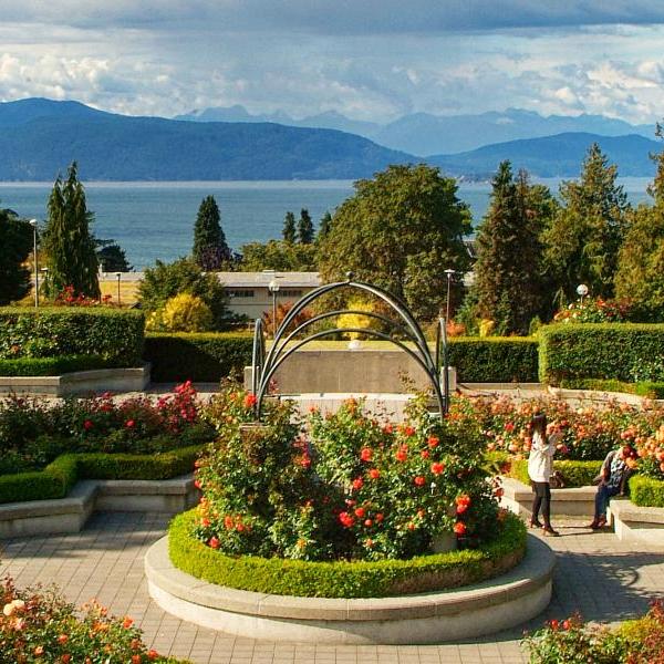UBC Rose garden