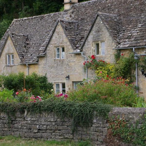 Cottage with greenery