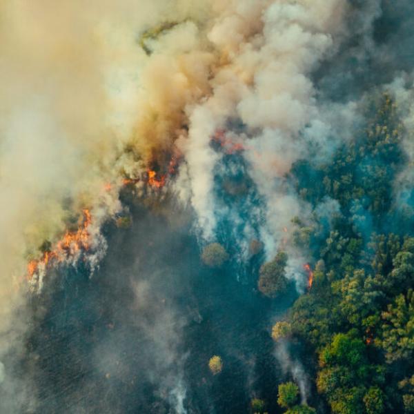 Catalyst Program Callout Image