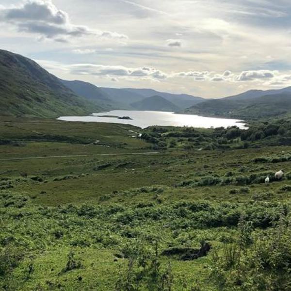 Photo of the Irish country side