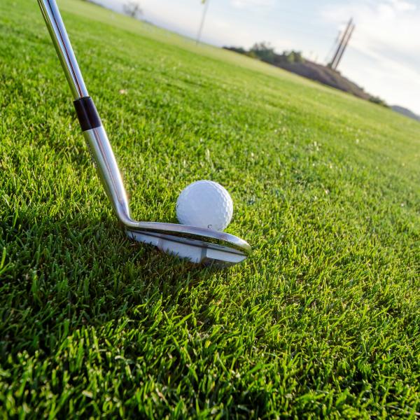 Golf club and ball